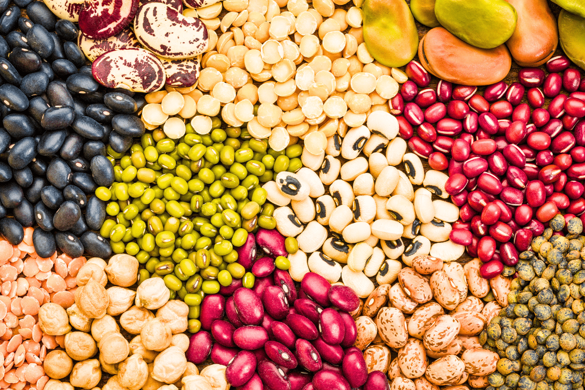 Les lentilles, des céréales qui peuvent remplacer la viande