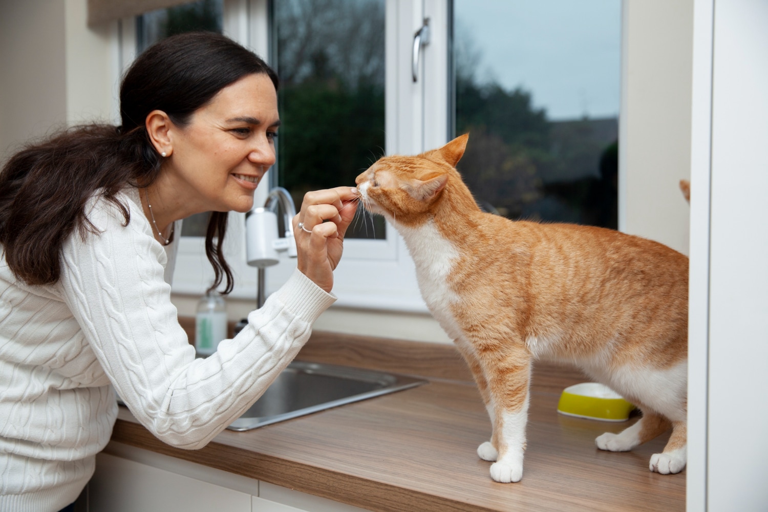 Les bienfaits du chat à la maison
