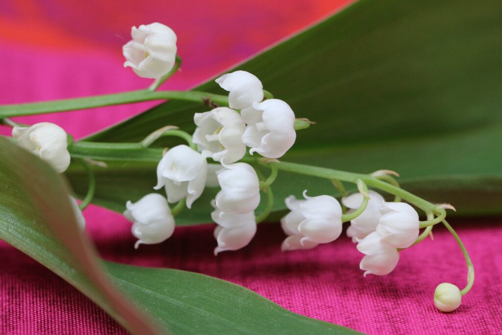 La proposition de loi sur le travail du 1er mai relancée