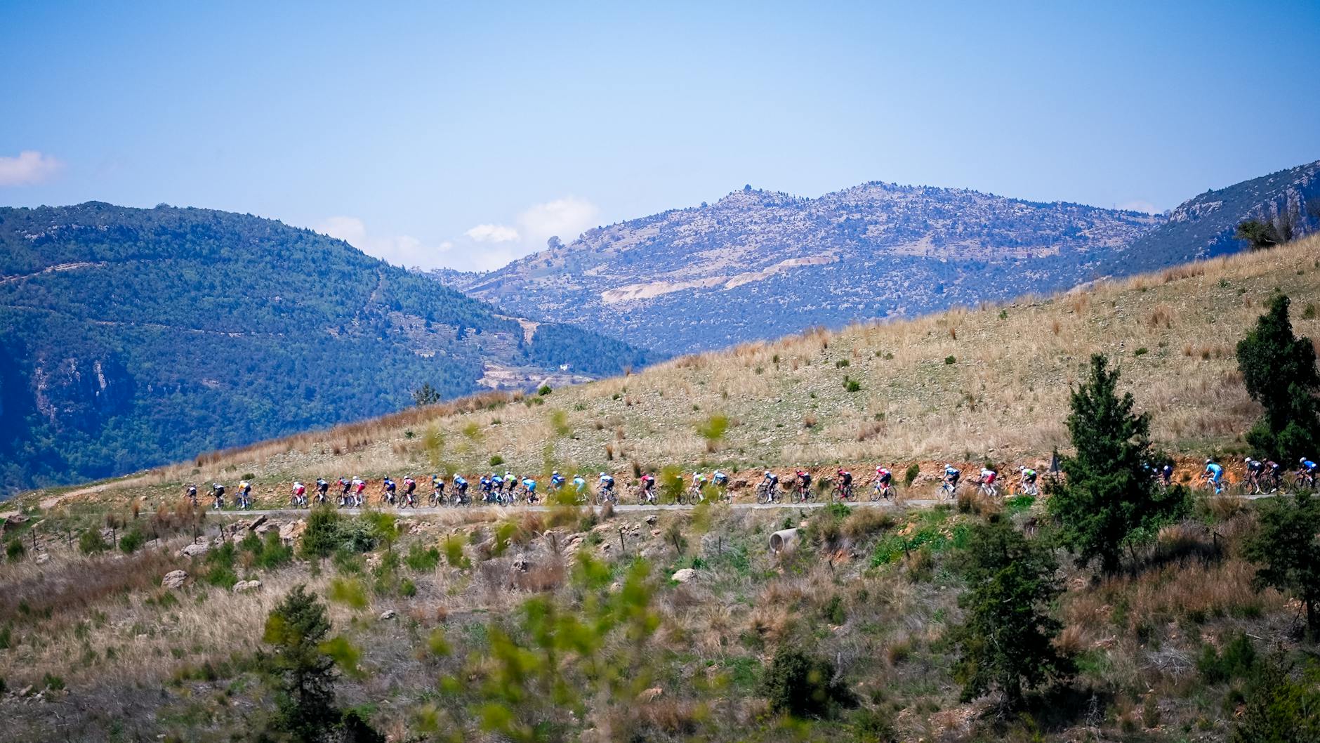 peloton cycliste en montagne lors du Critérium du Dauphiné